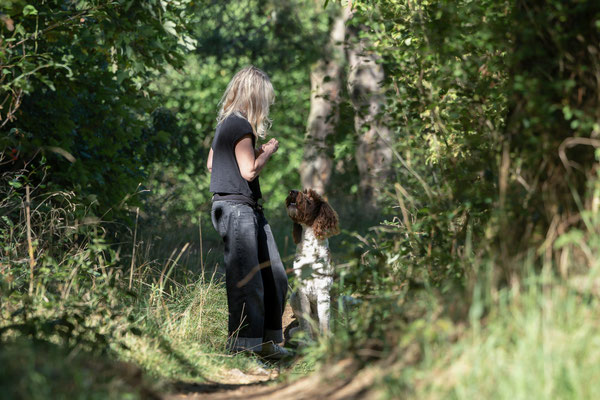 Train and Shoot - Dummytraining mit der Obedient Dog Hundeschule