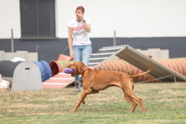 Feier Eröffnung neuer Standort bei der Hundeschule Hexenhof