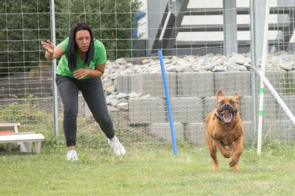 Feier Eröffnung neuer Standort bei der Hundeschule Hexenhof