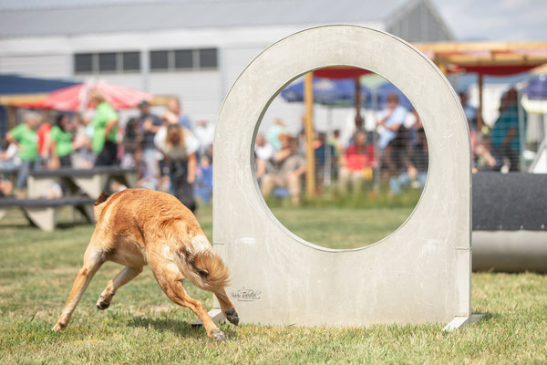 Feier Eröffnung neuer Standort bei der Hundeschule Hexenhof