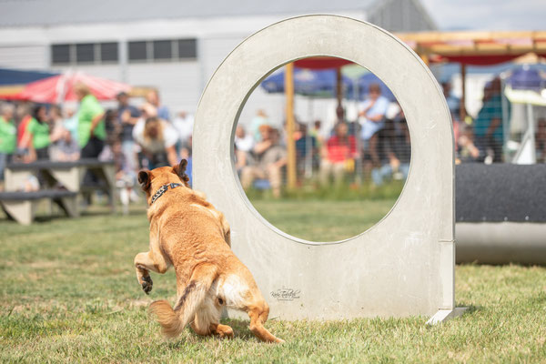 Feier Eröffnung neuer Standort bei der Hundeschule Hexenhof