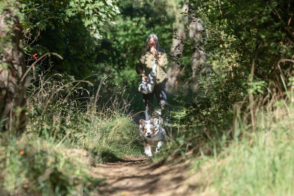 Train and Shoot - Dummytraining mit der Obedient Dog Hundeschule