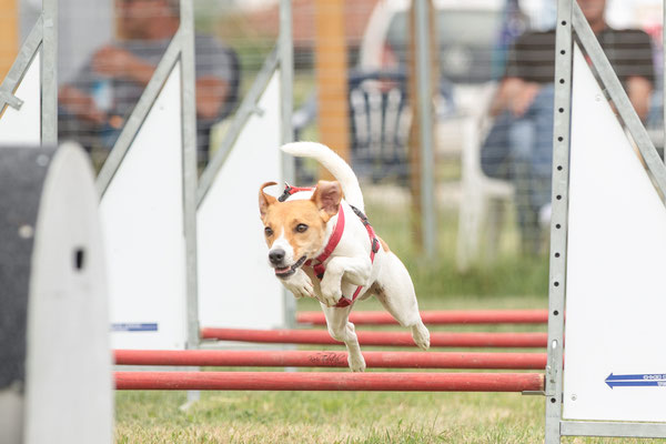 Feier Eröffnung neuer Standort bei der Hundeschule Hexenhof