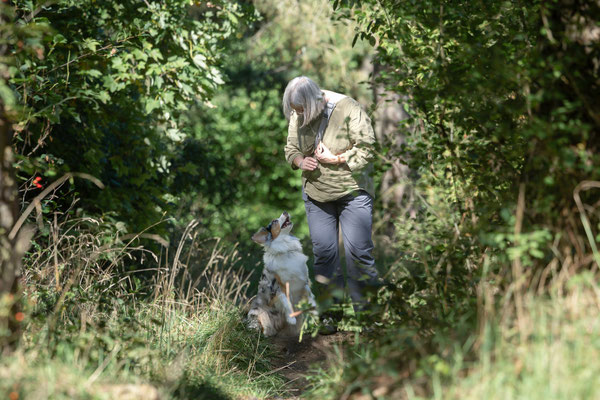 Train and Shoot - Dummytraining mit der Obedient Dog Hundeschule