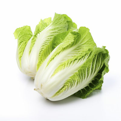 白菜