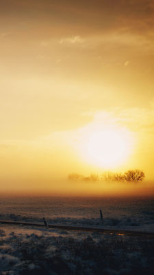 Sonnenaufgang auf einem Feld - Foto: Tobias Clemens Richter 2023