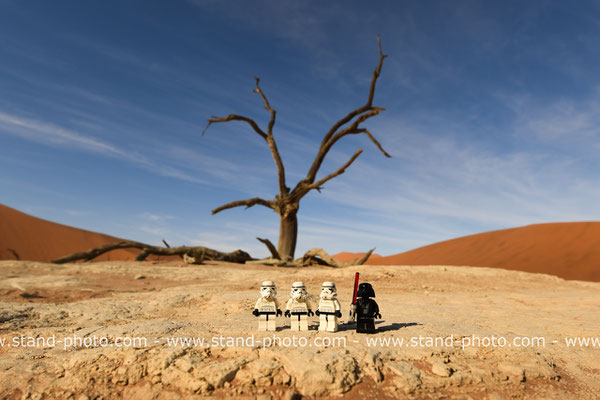 Dead Vlei - Namibie