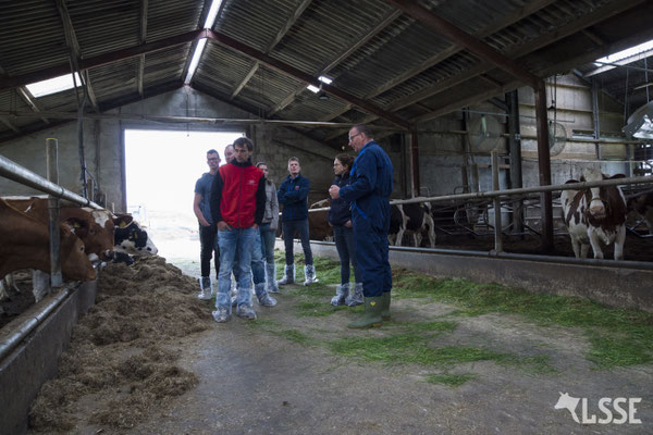 Uitleg in de stal