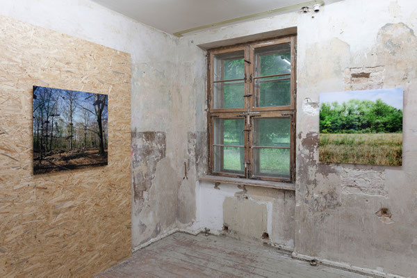 Hadas Tapouchi, „playfull forest“, Volkspark Jungfernheide, Berlin und „Stalag XVII“, Krems, Österreich
