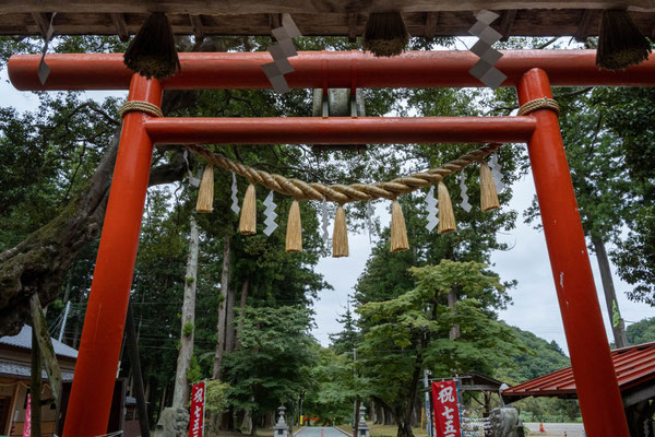賀茂神社境内に七五三参りの幟がたち、季節を感じさせてくれます。