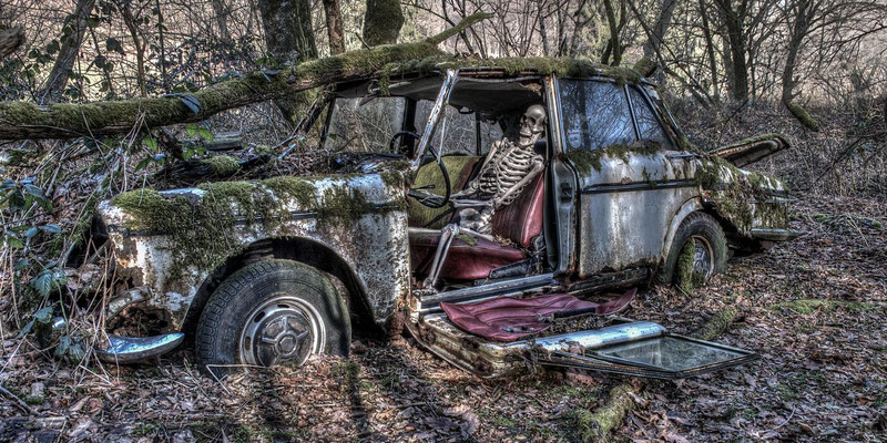 Neulich im Wald