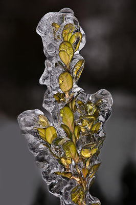 Eis-Skulptur