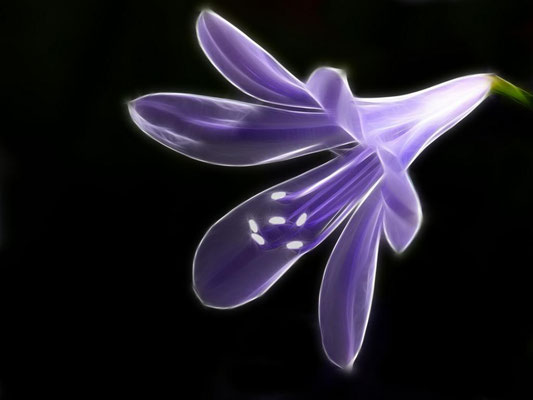 Magic Light