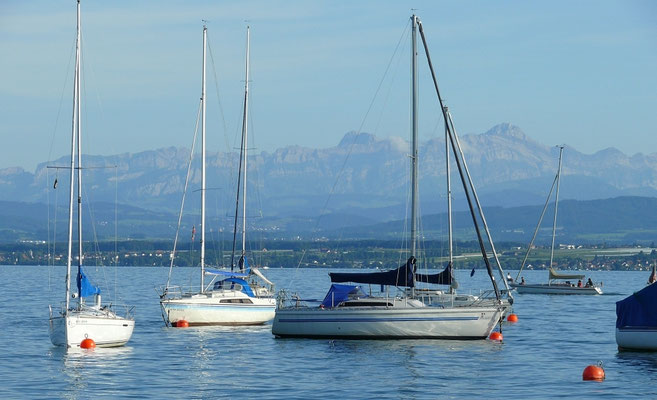Am Bodensee