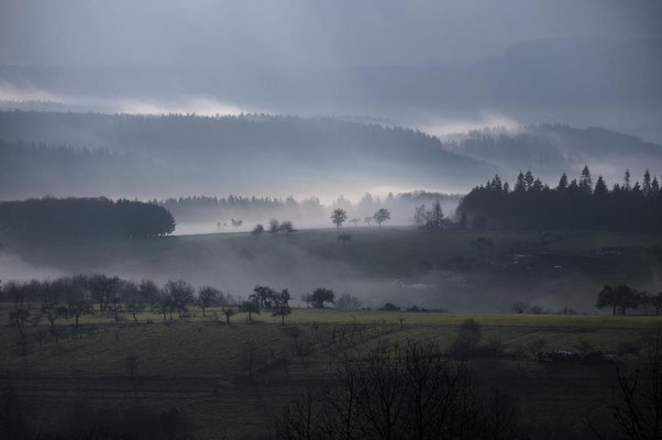 Nebelstimmung