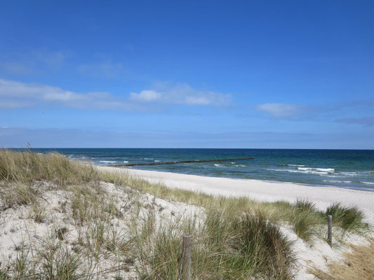 Landhaus Schack - Ferienwohnungen an der Ostseeküste