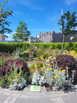 V&A Dundee Community Garden