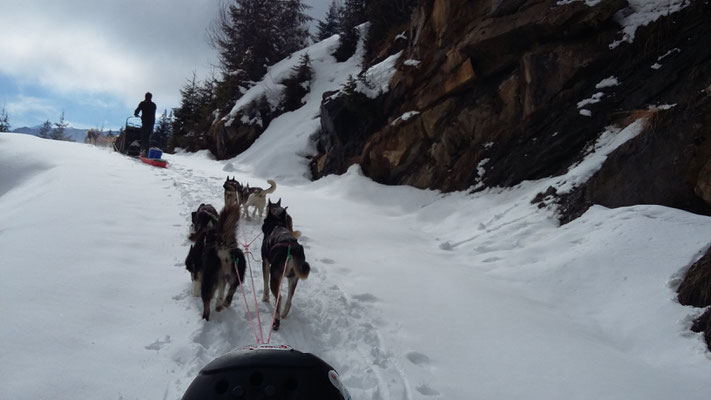 Mit voll bepackten Schlitten rauf auf die Alp... 