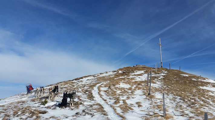 Auch mit wenig Schnee geht mit disziplinierten Hunden noch viel, WoW!