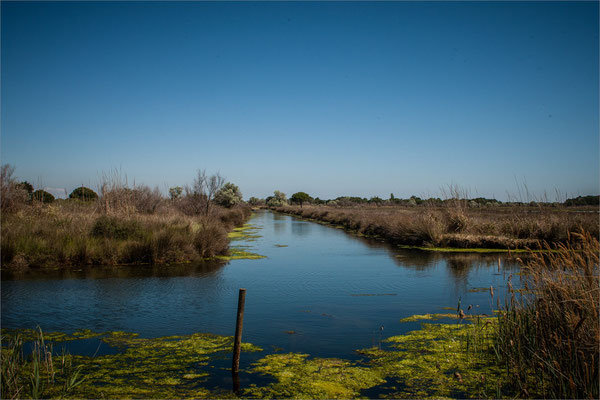 Aigues-Mortes