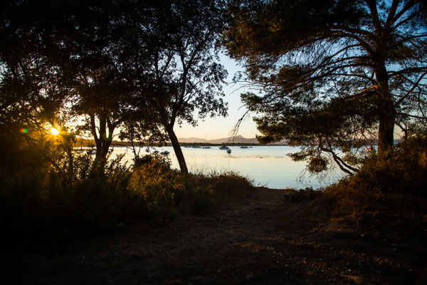 Presqu'île de Giens un soir