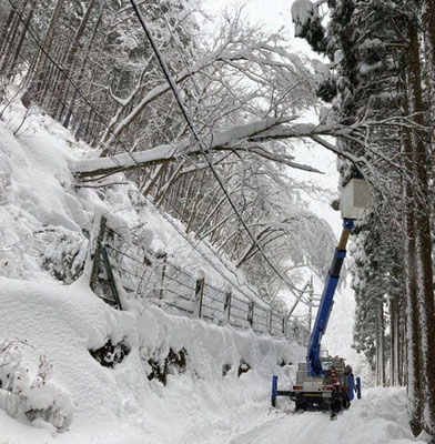 雪害による倒木処理作業➀　一刻も早い復旧を目指します