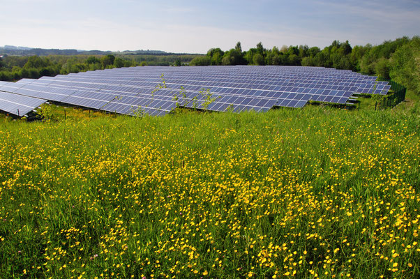Umweltingenieure Siera Impact Fund