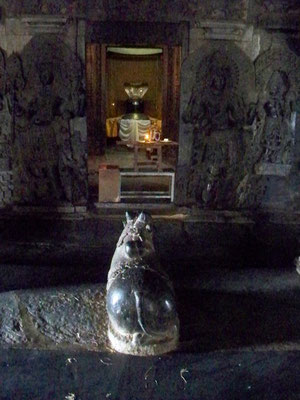 Nandi, Hoysaleswara Temple