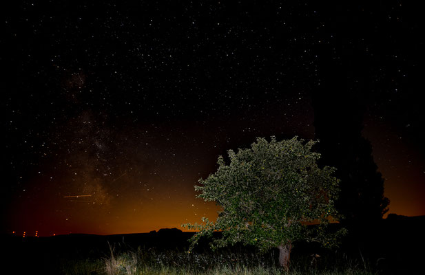 sternenklare Nacht im Vogelsberg