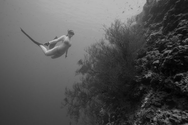 Baa Atoll, Reethi Beach