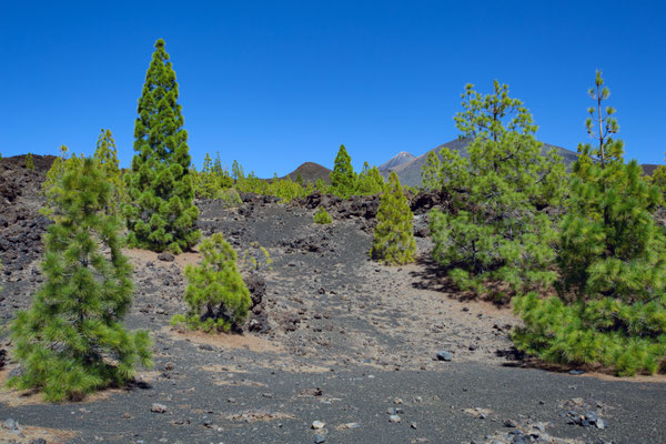 Teneriffa