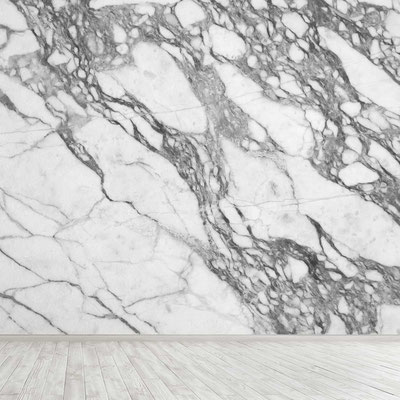 White marble wall with strong grey veiny pattern