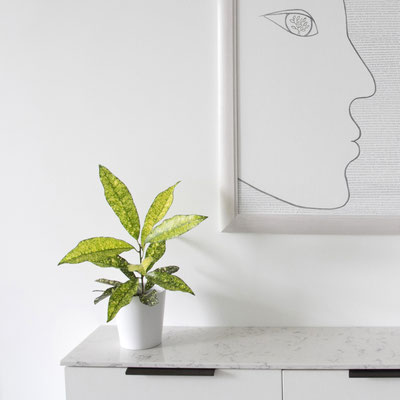 Console topped with Silestone Lyra engineered quartz