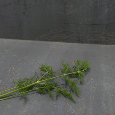 Floor from large format grey ceramic slabs