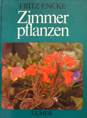 Zimmerpflanzen