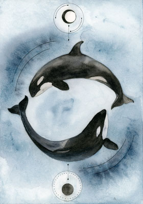 Abstrakte Orcas - Aquarellfarben/Zeichentusche