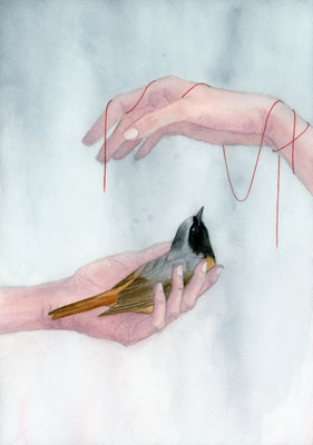 Hände und Hausrotschwänzchen - Aquarellfarben