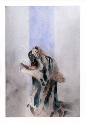 Clouded leopard with graphic elements - watercolour / watercolour pencils