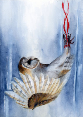 Falling barn owl with red thread - gouache