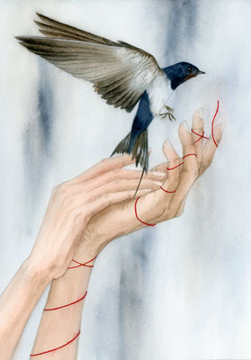 Hands and barn swallow - watercolour