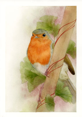 Rotkehlchen mit Ginkgo - Aquarellfarben / Aquarellstifte