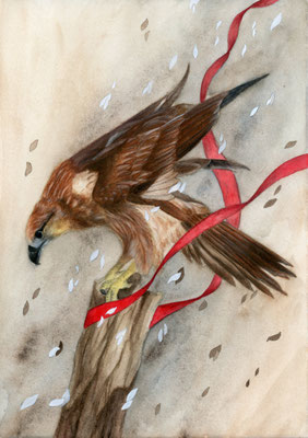 Eagle - watercolour/watercolour pencils