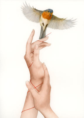 Hands and robin - watercolour / watercolour pencils