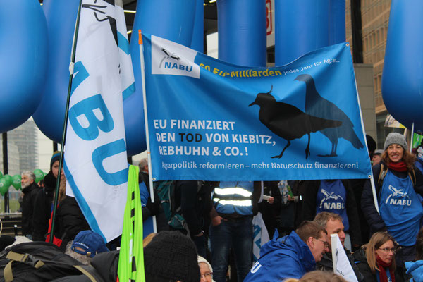 NABU-Transparent: "Agrarpolitik reformieren - mehr Naturschutz finanzieren". Foto: Helga Karl 21.12017 Berlin 