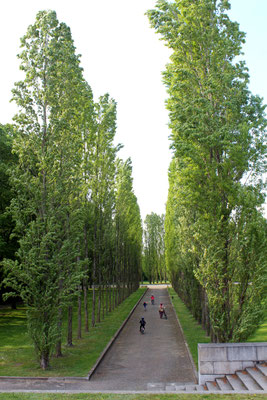 © Helga Karl. Sowjetisches Ehrenmal Treptower Park, 16.4.2014; Pappeln grünen