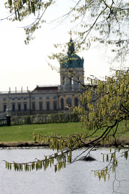 Schloss Charlottenburg im Frühling. Foto: Helga Karl