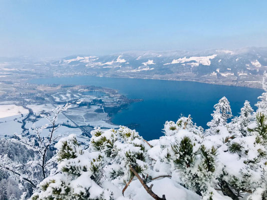 Winterblick vom Gipfel über den Mondsee und das verschneite Salzkammergut