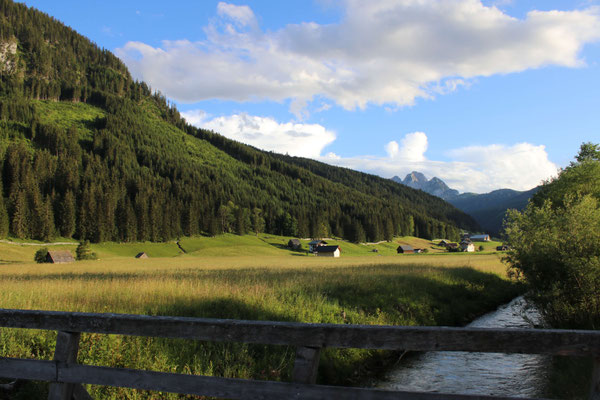 Grüne Wiesen und Berglandschaft im Gosautal im Dachstein-Salzkammergut