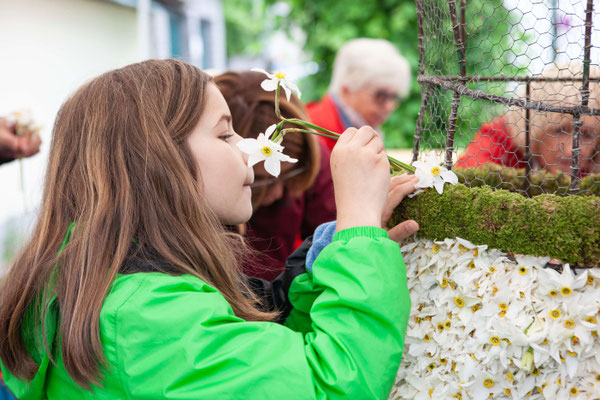 Festumzug beim Narzissenfest in Bad Aussee mit geschmückten Figuren