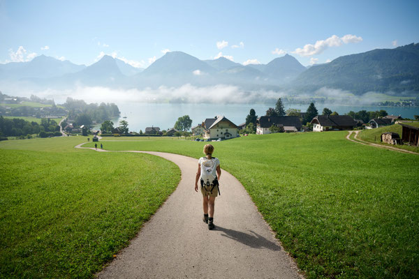 Wanderweg durch grüne Landschaft mit Blick auf den Wolfgangsee im Salzkammergut